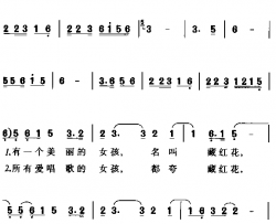 美丽的藏红花简谱