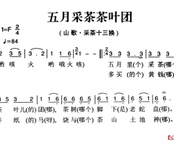 姚继忠民歌选：五月采茶茶叶团简谱-