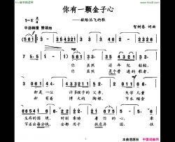 你有一颗金子心献给丛飞的歌简谱