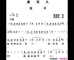 虞美人·追寻简谱