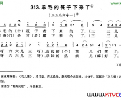 羊毛的筏子下来了简谱