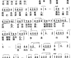 森林里相遇都是自家人简谱