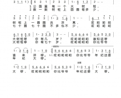 大树桩你有几岁简谱
