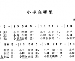 小手在哪里简谱