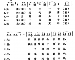 采棉花简谱