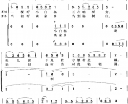 小白杨冯晓阳编合唱简谱