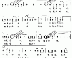 白鹭又飞回来了简谱