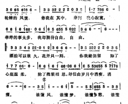 谁懂简谱-台湾电视剧《少年张三丰》主题歌伍思凯-