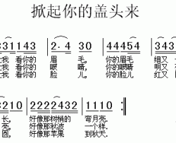 掀起你的盖头来维吾尔族民歌简谱-梦之旅演唱