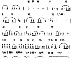 金凤凰 简谱-黄持一词 邓超荣曲