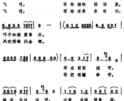 沉甸甸的稻穗做红媒简谱