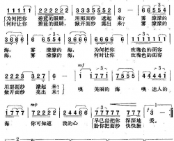 雾濛濛的海简谱