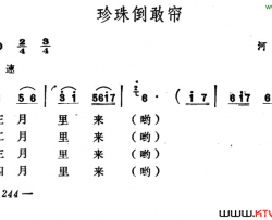 珍珠倒敢帘简谱