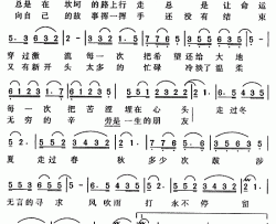 无言的寻求简谱