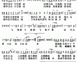 寂寞的自由简谱