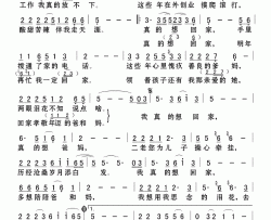 真的想回家简谱(歌词)-汪正正演唱-Z.E.Z.记谱制作