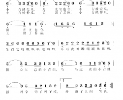 小青蛙种瓜薛优军原创歌曲之五简谱