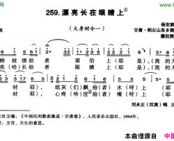 漂亮长在眼睛上简谱-刘永正演唱-甘肃民歌词曲