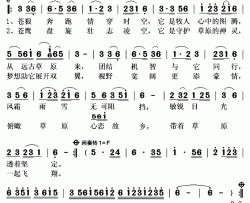 苍狼 苍鹰简谱(歌词)-图门演唱-秋叶起舞记谱上传