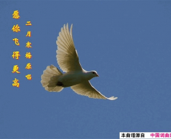 愿你飞得更高简谱-二月寒梅演唱-二月寒梅/李云翔词曲