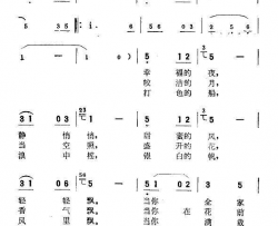 哨兵的微笑简谱