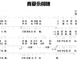 真爱永相随简谱-古岑词曲