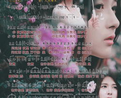 流落的雨夜简谱-张怡诺演唱-李思平/凡间精灵词曲