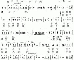 小贝壳之恋简谱-叶灵演唱