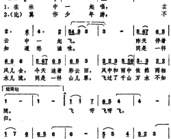 一对鸟儿飞台湾电影《一对傻鸟》主题歌简谱