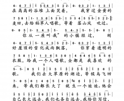如果有来生简谱-谭维维演唱-高晓松/格非词曲