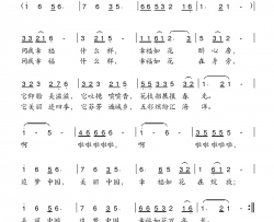 幸福如花简谱