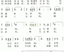 红卓玛简谱