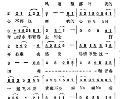 青春·起飞简谱
