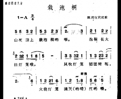 载泡桐简谱