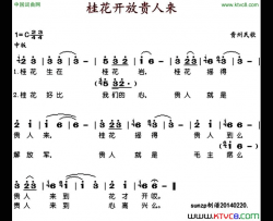 桂花开放贵人来简谱