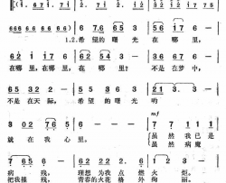 希望的曙光简谱
