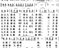 猜花伊犁回族民歌简谱