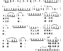 星光灿烂之夜简谱
