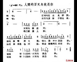 人间的百灵鸟就是你简谱-哈萨克民歌