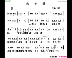 栽柳树陕北榆林小曲简谱