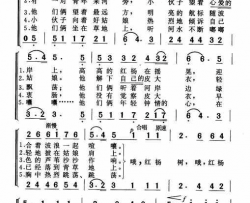 哦，红杨树简谱-胡欣演唱