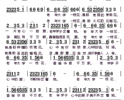 老年大学一枝花简谱