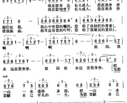 祖国，我永远在您身旁简谱