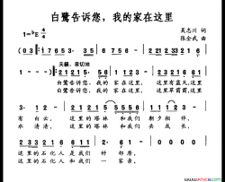 白鹭告诉您，我的家在这里简谱