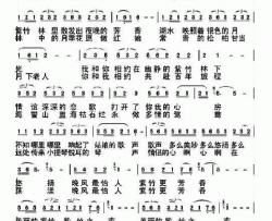 紫竹之夜简谱