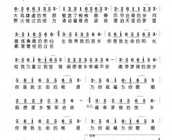 魂牵梦绕的故乡简谱