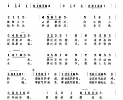 花开钢都更红火2019攀枝花市第八届运动会会歌简谱