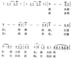 故乡的雨简谱-曾宪瑞词 徐东蔚曲