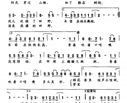 田野之夏·青春简谱