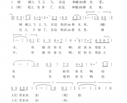 蝴蝶儿飞又飞简谱-陈晶露演唱-张习良/张习良词曲